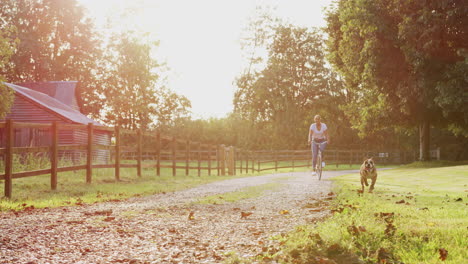 Slow-Motion-Shot-Of-Woman-With-Pet-Dog-Riding-Bike-Along-Country-Lane-At-Sunset