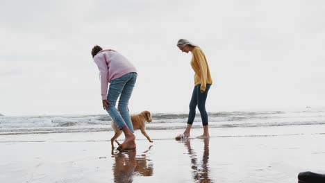 Mother-And-Daughter-Playing-With-Pet-Dog-In-Waves-On-Beach-Vacation