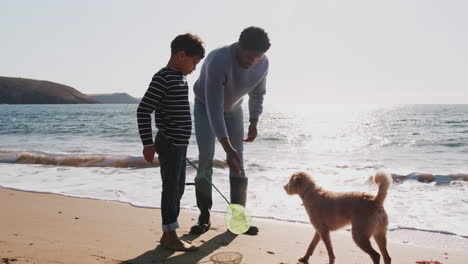 Vater-Und-Sohn-Spielen-Mit-Netz-Und-Hund,-Indem-Sie-Am-Strand-Wellen-Brechen