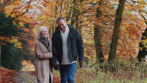 Loving-Retired-Senior-Couple-Walking-Hand-In-Hand-Along-Path-In-Autumn-Countryside