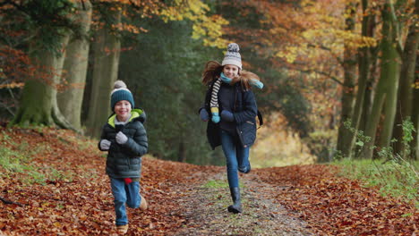 Portrait-Of-Two-Children-Having-Fun-Running-Along-Path-Through-Autumn-Countryside-Together
