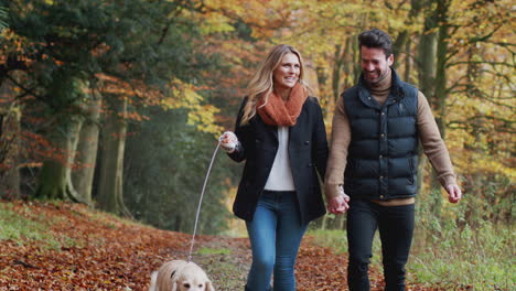 Glückliches-Paar,-Das-Gemeinsam-Mit-Dem-Hund-Den-Weg-Entlang-Der-Herbstlichen-Landschaft-Spazieren-Geht