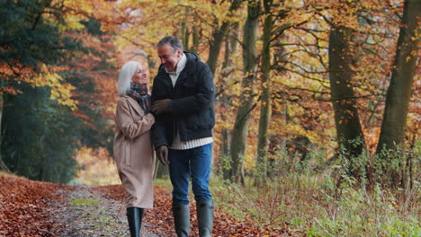 Loving-Retired-Senior-Couple-Walking-Arm-In-Arm-Along-Path-In-Autumn-Countryside-Together
