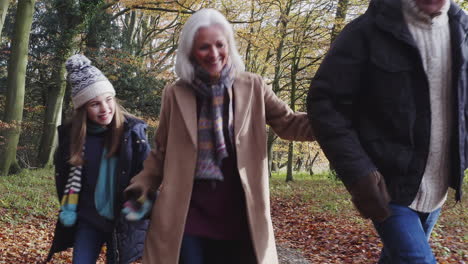 Smiling-Grandparents-Walking-With-Grandchildren-Along-Path-In-Autumn-Countryside