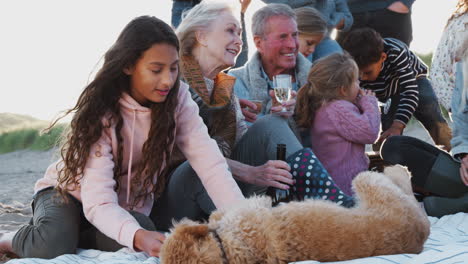 Mehrgenerationenfamilie-Mit-Hund-Im-Winterlichen-Strandurlaub,-Trinken-Und-Reden