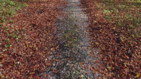 Drone-Shot-Tracking-Along-Path-Through-Autumn-Countryside