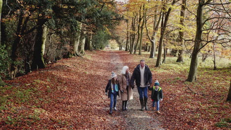 Drone-Shot-Of-Smiling-Grandparents-Walking-With-Grandchildren-Along-Path-In-Autumn-Countryside