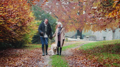Glückliches-älteres-Ehepaar-Im-Ruhestand,-Das-Gemeinsam-Mit-Dem-Hund-Den-Weg-Entlang-Der-Herbstlichen-Landschaft-Spazieren-Geht