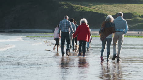 Rear-View-Of-Active-Multi-Generation-Family-With-Dog-Walking-Along-Shoreline-Of-Autumn-Beach