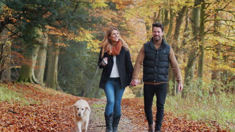 Glückliches-Paar,-Das-Gemeinsam-Mit-Dem-Hund-Den-Weg-Entlang-Der-Herbstlichen-Landschaft-Spazieren-Geht