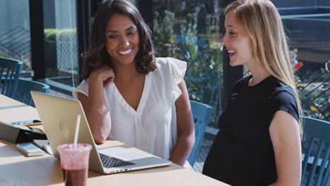 Businesswoman-Using-Laptop-Working-With-Pregnant-Female-Colleague-In-Modern-Office