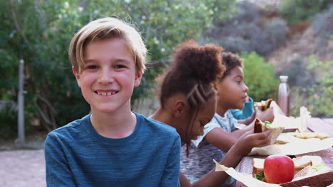 Portrait-Of-Smiling-Boy-With-Friends-Eating-Healthy-Picnic-At-Outdoor-Table-In-Countryside