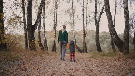 little-child-and-his-mother-are-walking-together-at-forest-holding-hands-back-view-family-rest-at-autumn-day-exploring-nature-and-enjoying-fresh-air