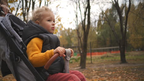 walk-of-mother-and-toddler-in-pram-in-autumn-park-calm-weekend-at-nature-closeup-portrait-of-baby-happy-childhood
