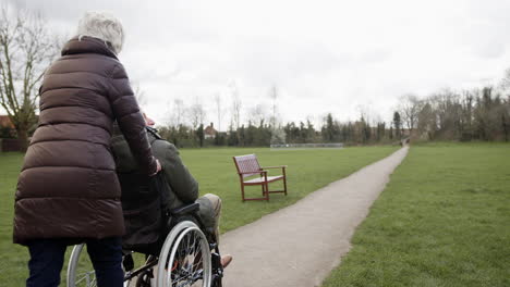 Rear-View-Of-Senior-Woman-Pushing-Senior-Man-In-Wheelchair-Outdoors-In-Fall-Or-Winter-Park