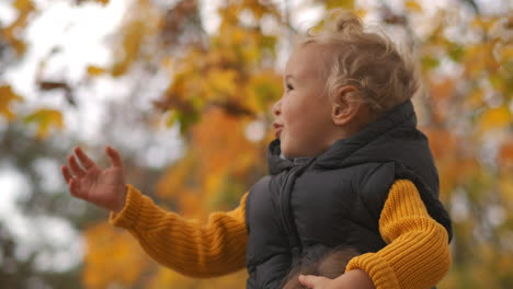 happy-childhood-little-boy-and-nature-at-autumn-day-child-is-stretching-hand-to-branch-of-tree-with-yellow-foliage-having-fun-in-park-or-forest