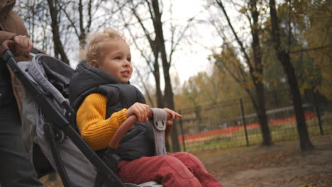 cute-little-boy-is-sitting-in-baby-stroller-rolling-by-mother-or-nanny-family-walk-in-park-at-autumn-day-breathing-fresh-air-and-resting-at-nature