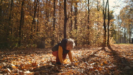 Little-boy-throw-autumn-leaves-in-autumn-park-in-slow-motion.-Medium-shot-of-child-playing-outdoors.-High-quality-4k-footage