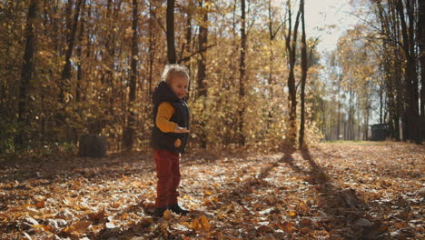 Boy-alone-stands-in-autumn-park-on-yellow-fallen-leaves-and-hands-trying-to-catch-a-leafy-autumn-in-slow-motion.-High-quality-4k-footage