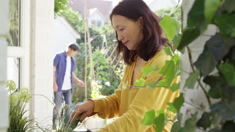 Mature-Asian-woman-planting-wooden-container-foreground-of-in-summer-garden-whilst-her-husband-ties-flowers-to-garden-canes-behind---shot-in-slow-motion