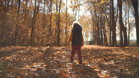 One-boy-walks-in-slow-motion-on-the-fallen-yellow-foliage-of-trees-in-the-fall-in-the-sunlight-in-the-park-and-turns-back.-High-quality-4k-footage