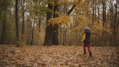 happy-child-is-running-to-old-tree-in-forest-walking-and-having-fun-at-autumn-day-at-weekend-following-shot-rest-and-entertainment-at-nature