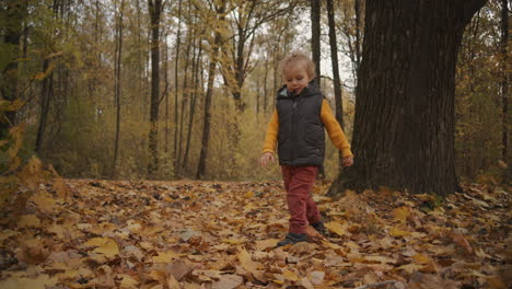 weekend-in-forest-at-fall-day-little-boy-is-walking-over-dry-leaves-on-ground-enjoying-and-exploring-nature-curious-toddler-in-woodland