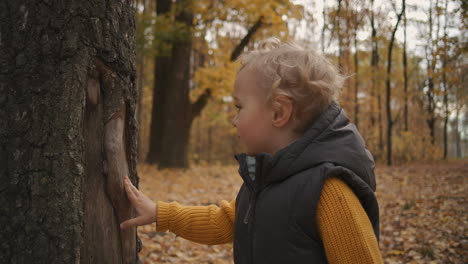 charming-curious-child-boy-is-viewing-trees-bark-in-forest-at-autumn-exploring-nature-at-weekend-family-trip-medium-portrait-of-baby