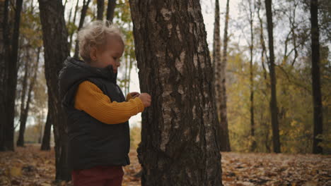 little-boy-is-viewing-and-touching-bark-on-trunk-of-tree-in-forest-at-autumn-child-is-exploring-and-studying-nature-and-environment