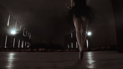 SLOW-MOTION:-close-up-of-the-ballerina's-legs-in-the-pounts-and-smooth-movement-of-the-camera-along-the-vertical-axis.-Portrait-of-a-ballerina