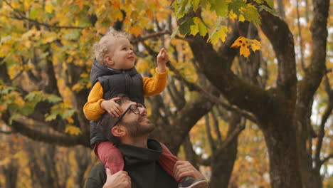little-child-is-sitting-on-shoulders-of-his-father-and-viewing-yellow-leaves-of-tree-in-autumn-forest-dad-and-son-are-spending-time-together-at-walking-on-nature