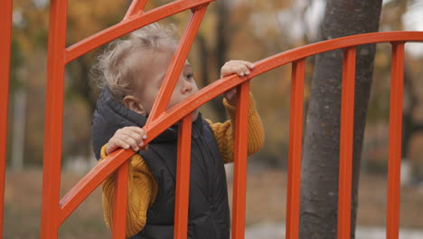 little-child-is-playing-at-playground-area-in-park-holding-fence-by-hands-medium-portrait-of-cute-boy-walking-at-autumn-days