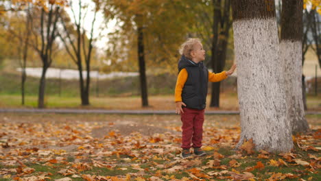 Un-Niño-Pequeño-Está-Explorando-La-Naturaleza-En-El-Parque-De-Otoño-Tocando-Un-árbol-Y-Viendo-El-Tronco-Caminando-El-Fin-De-Semana-En-El-Día-De-Otoño-Infancia-Feliz