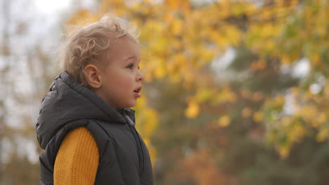 charming-little-child-in-autumn-forest-portrait-against-bright-yellow-foliage-of-trees-walking-at-nature-happy-childhood