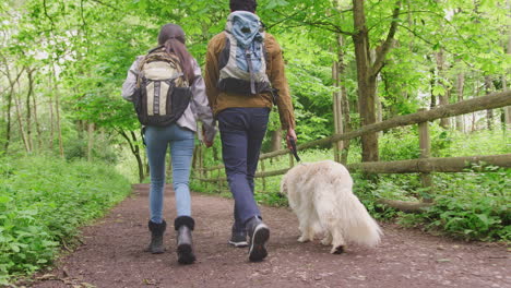 Rear-view-of-young-couple-holding-hands-as-they-hike-along-path-through-trees-in-countryside-with-pet-golden-retriever-dog-on-leash---shot-in-slow-motion