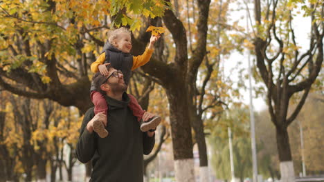 young-father-and-his-little-son-are-spending-time-together-at-weekend-at-autumn-day-toddler-is-sitting-on-shoulders-of-dad-medium-portrait-in-picturesque-landscape