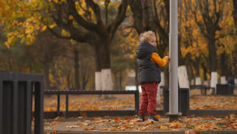 funny-child-boy-is-walking-in-park-area-at-autumn-playing-with-street-lamp-post-cute-toddler-is-exploring-world-happy-and-carefree-childhood