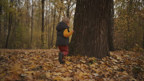 joyful-boy-is-running-in-forest-at-autumn-day-playing-and-rejoicing-touching-old-tree-fun-and-joy-of-little-child-at-nature-happy-memories-from-childhood