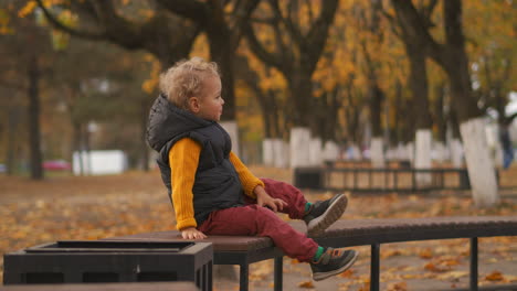 cute-little-child-in-autumn-park-boy-is-sitting-on-bench-alone-walking-at-early-fall-season-colorful-landscape-in-background