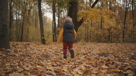 good-day-in-autumn-forest-little-boy-is-running-and-having-fun-following-shot-rear-view-happy-childhood-and-weekend-at-nature