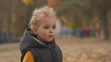 portrait-of-cute-little-boy-in-autumn-park-child-is-walking-at-good-weather-light-curly-hair-and-charming-face-of-toddler