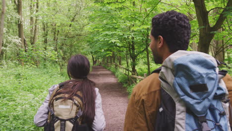 Over-the-shoulder-view-of-young-couple-hiking-along-path-through-trees-in-countryside---shot-in-slow-motion