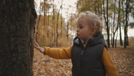 Un-Niño-Pequeño-Está-Explorando-La-Naturaleza-En-El-Bosque-De-Otoño-Durante-Una-Caminata-De-Fin-De-Semana-Tocando-La-Corteza-De-Un-árbol-Retrato-De-Un-Niño-Curioso-En-El-Bosque-En-El-Día-De-Otoño