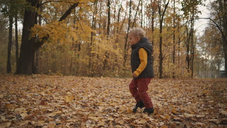 Kleines-Kind-Geht-An-Einem-Herbsttag-Im-Wald-Spazieren,-Genießt-Das-Knirschen-Der-Blätter-Auf-Dem-Boden-Und-Hat-Spaß,-Glückliches-Kind-In-Der-Natur,-Das-Die-Umgebung-Studiert