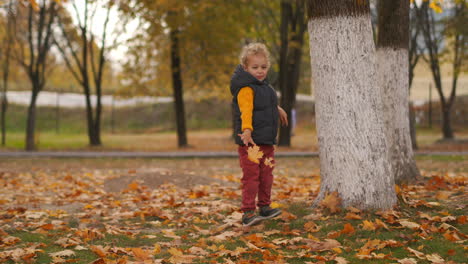 carefree-and-happy-childhood-of-little-funny-boy-playing-with-yellow-leave-in-autumn-park-at-walking-joyful-toddler-is-having-fun