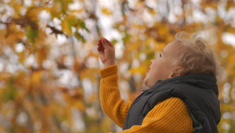 cute-child-is-playing-with-yellow-leaves-on-tree-sitting-on-shoulders-of-parent-rejoicing-and-rejoicing-portrait-of-happy-baby-in-park