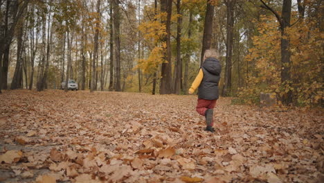 little-boy-is-running-in-forest-moving-over-dry-foliage-on-ground-happy-time-at-weekend-at-nature-resting-at-woodland-at-fall-day