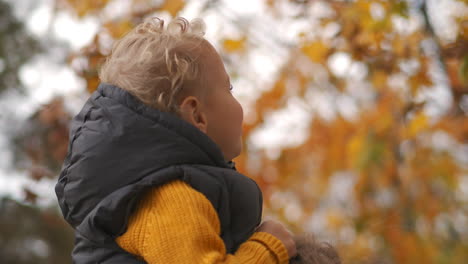 charming-little-boy-is-catching-yellow-leaves-on-tree-sitting-on-shoulders-of-mother-at-walk-in-forest-at-autumn-closeup-portrait-of-baby
