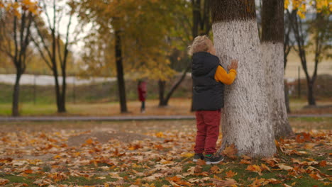 little-boy-is-walking-in-park-at-autumn-day-standing-near-old-tree-picturesque-nature-with-dry-and-yellowed-grass-and-foliage-weekend-walks-of-townspeople