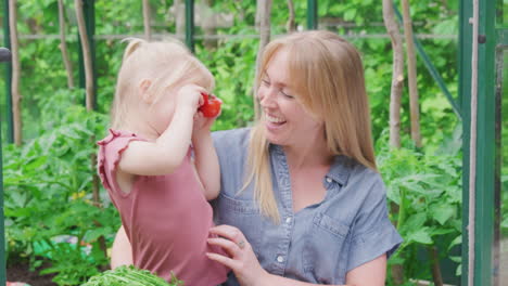 Mother-With-Daughter-Making-Funny-Face-With-Home-Grown-Tomatoes-In-Greenhouse